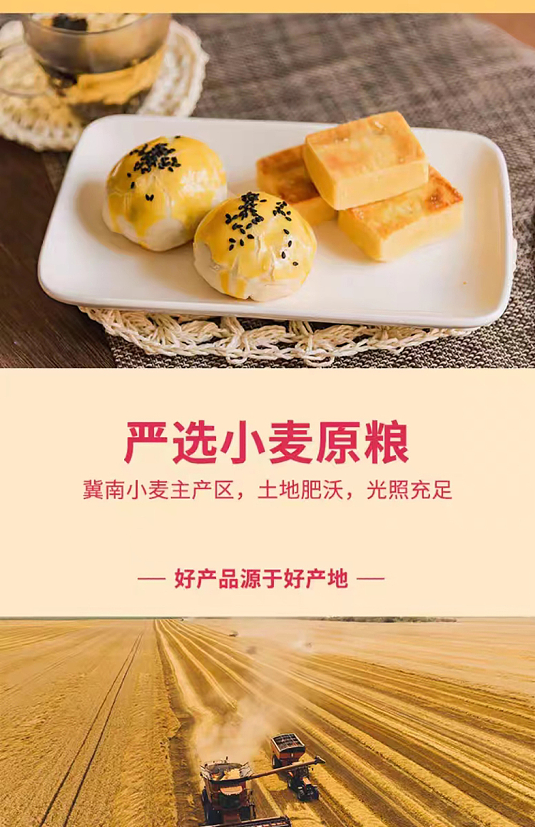 jinsha-river-noble-super-fine-wheat-flour-5kg-6