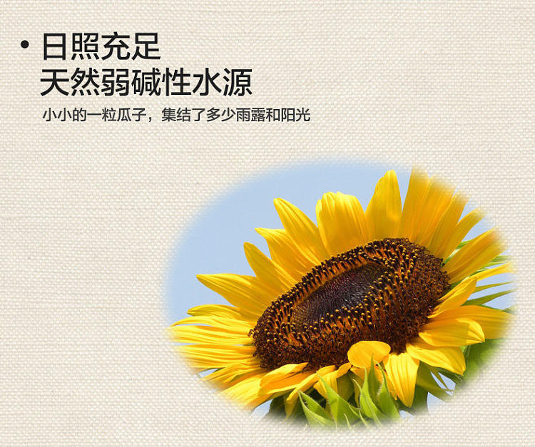 childhood-memory-original-flavor-melon-seeds-500g-5