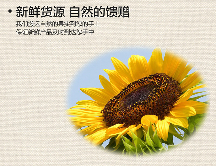 childhood-memory-fragrant-melon-seeds-500g-5