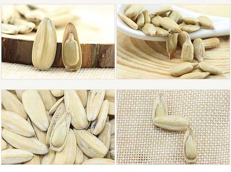 childrens-story-multi-flavored-melon-seeds-500g-6