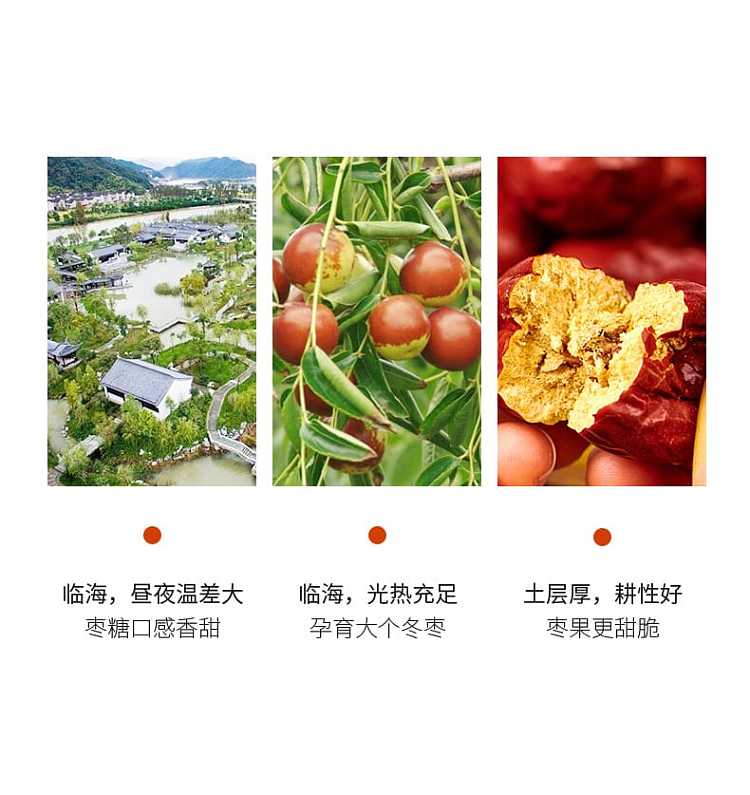 leylands-pitted-crisp-winter-dates-90g-6