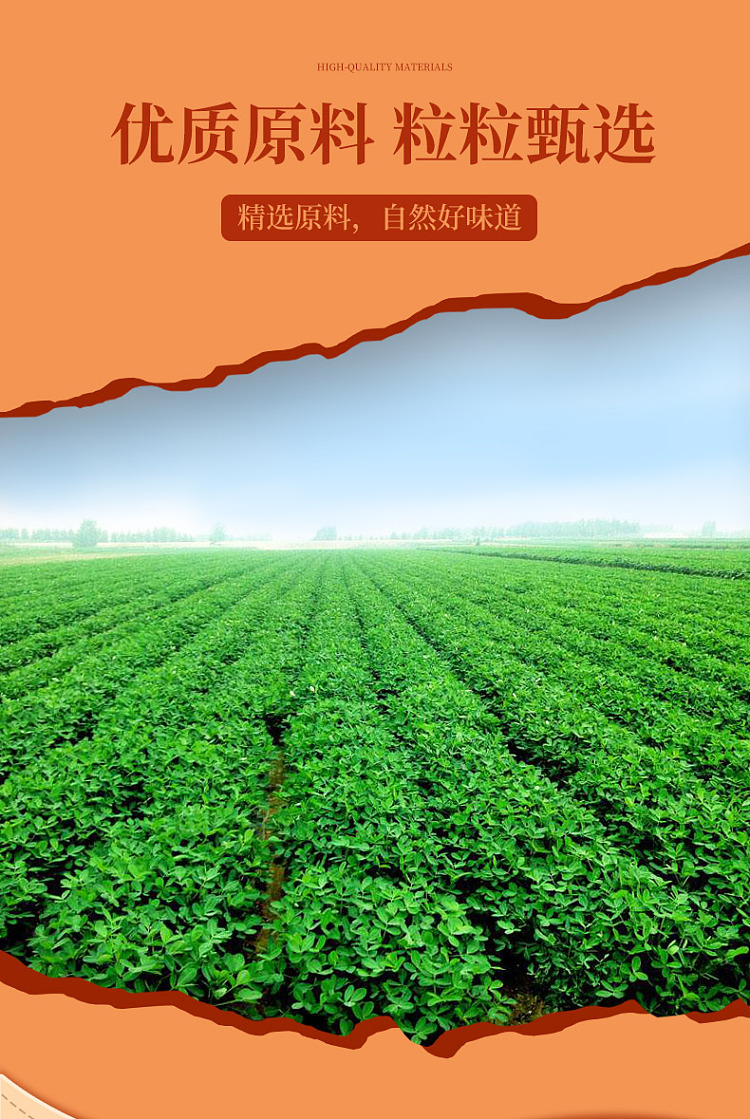 silly-ergo-spicy-peanuts-sichuan-flavor-110g-3