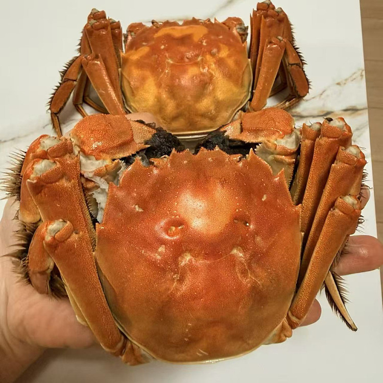 frozen-ruyuxiang-original-flavor-hairy-crab-2-piece-pack-male-crabs-400g-3