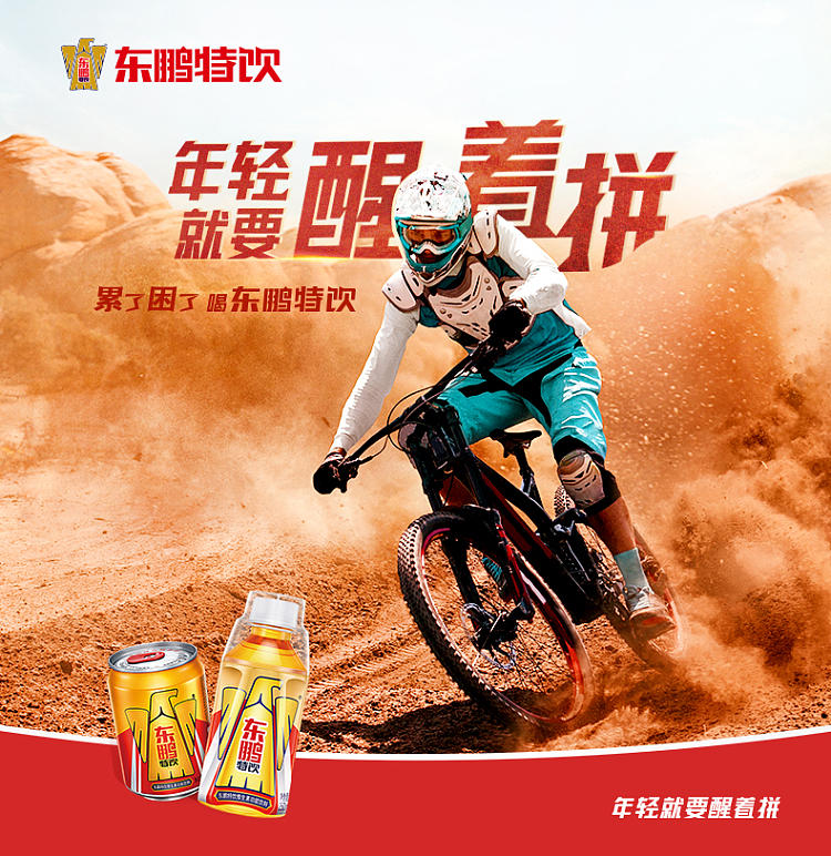 dongpeng-special-drink-vitamin-functional-drink-500ml24-1