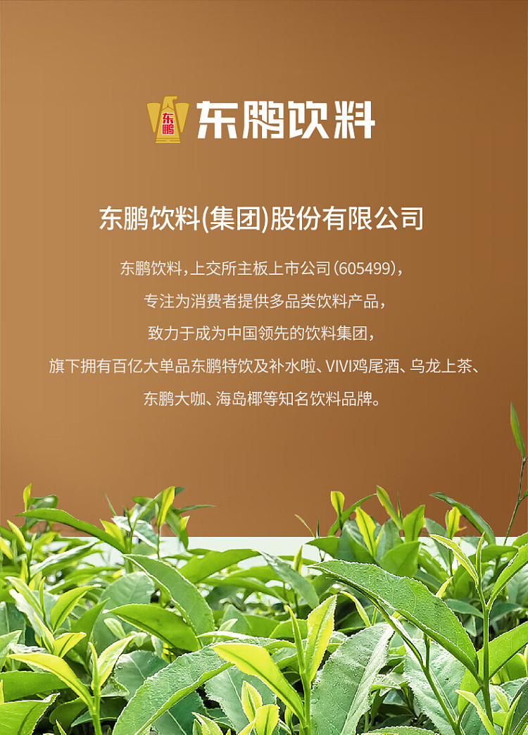 dongpeng-beverage-oolong-upper-tea-555ml24-bottles-case-13