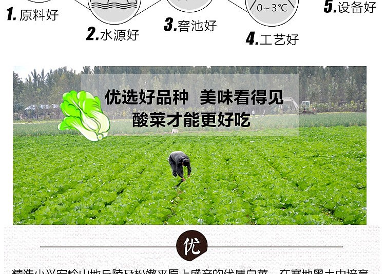 cuihua-pickled-cabbage-pieces-750g-3