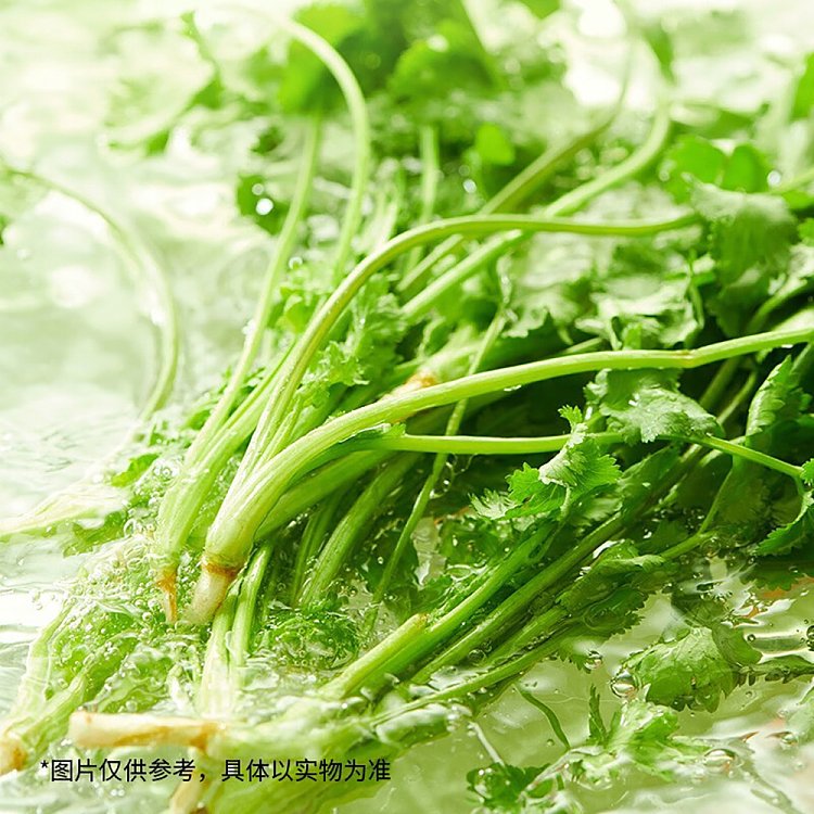 white-elephant-super-fragrant-spiced-coriander-noodles-115g5bag-pack-2