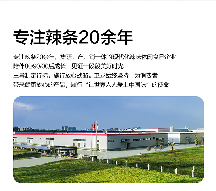 wei-long-gluten-65g-14
