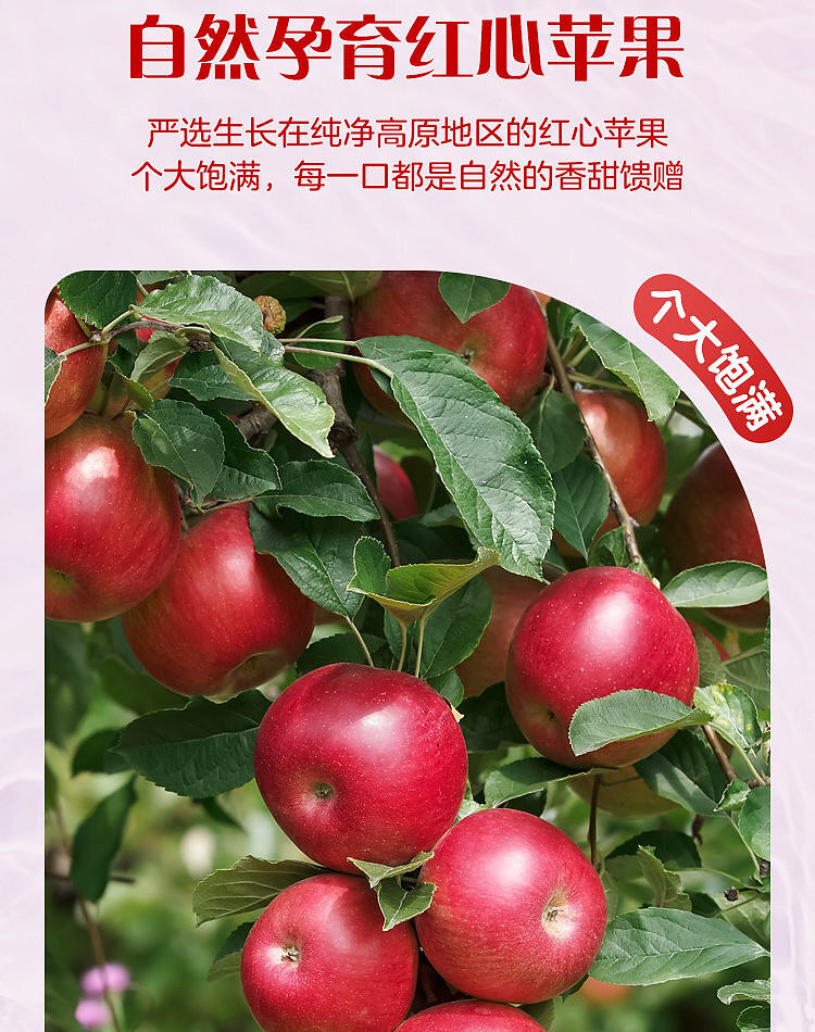 walmart-china-self-supporting-series-wuji-fresh-apple-sparkling-water-1l-3