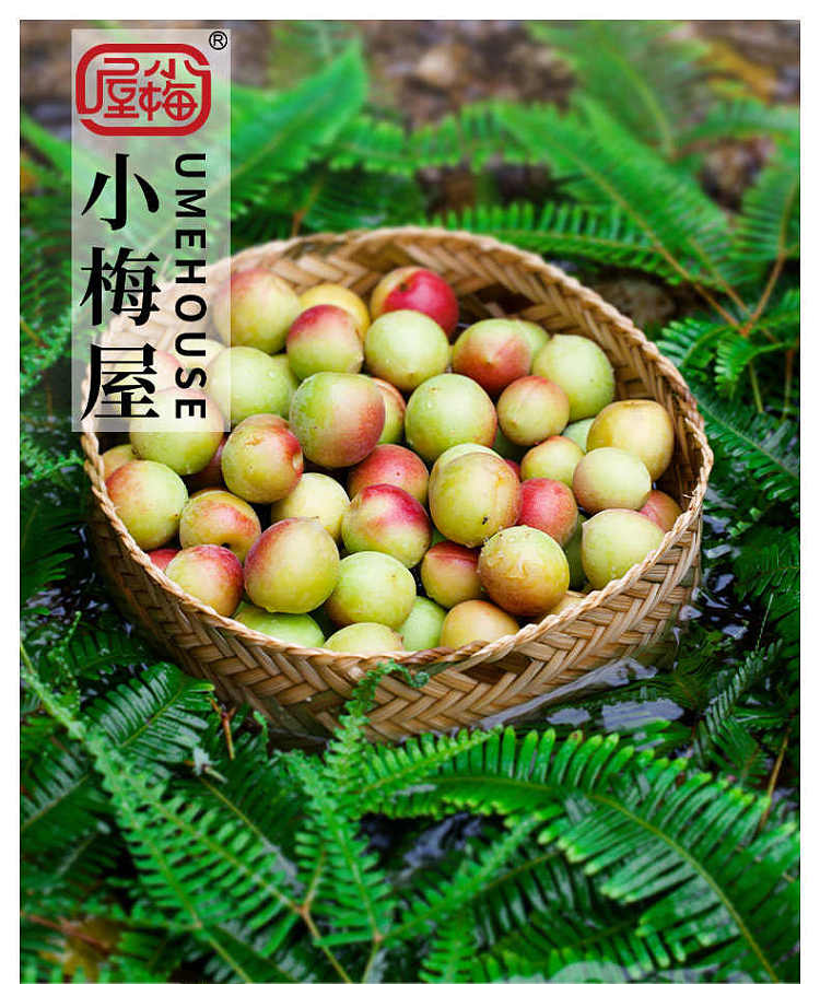 xiaomeiwu-honey-flavored-plum-cake-80g-1