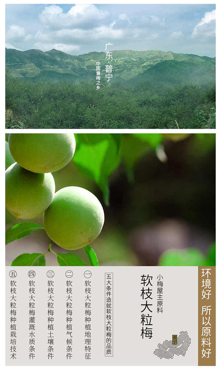 xiaomeiwu-honey-flavored-plum-cake-80g-3