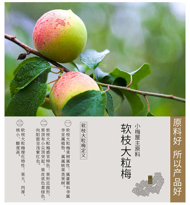 xiaomeiwu-honey-flavored-plum-cake-80g-4