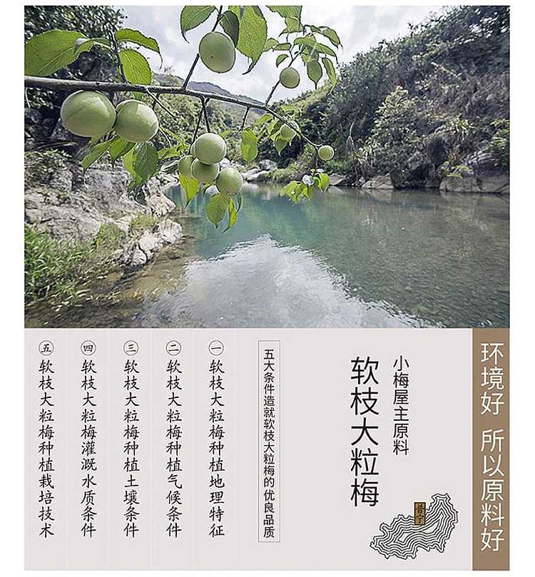xiaomeiya-sigui-ume-80g-2