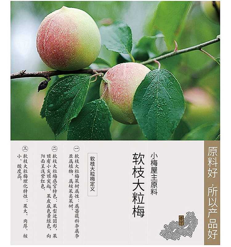 xiaomeiya-sigui-ume-80g-5