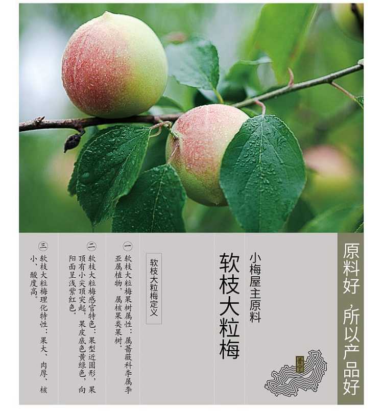 little-plum-house-chen-pi-flavor-plum-cake-70g-6