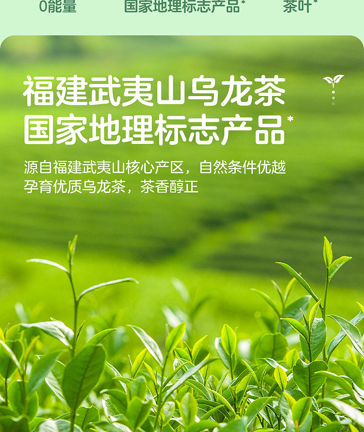walmart-china-self-supporting-series-woji-fresh-oolong-tea-15l-3