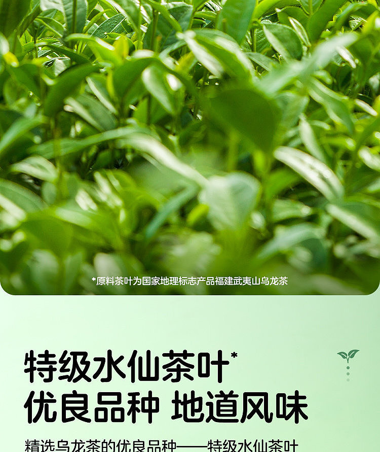 walmart-china-self-supporting-series-woji-fresh-oolong-tea-15l-4