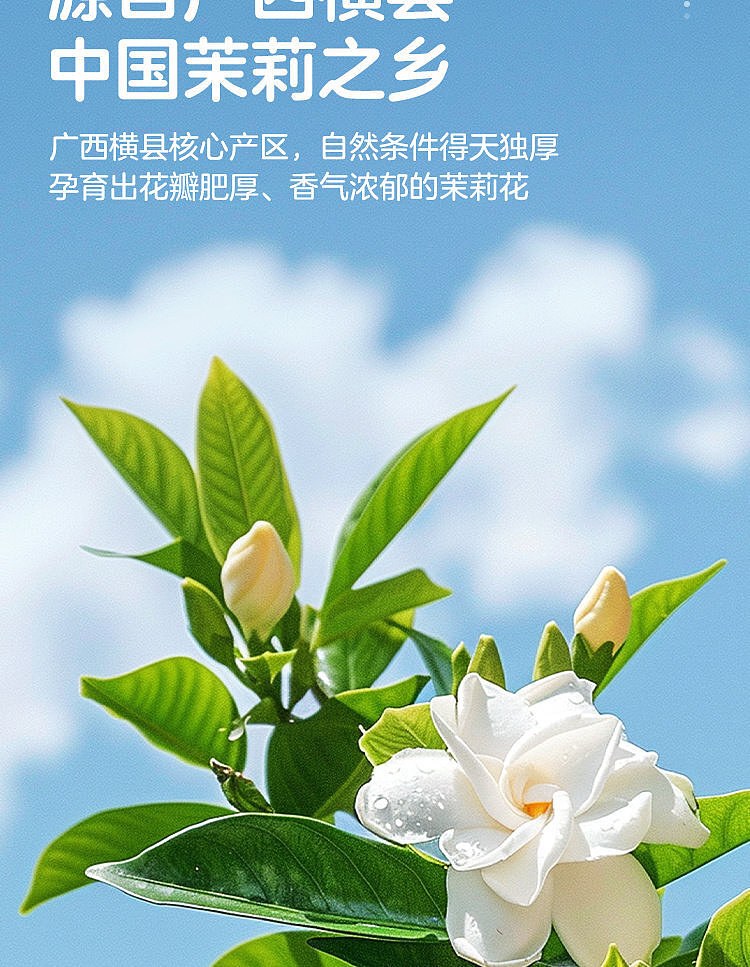 walmart-china-self-supporting-series-woji-fresh-jasmine-tea-15l-3