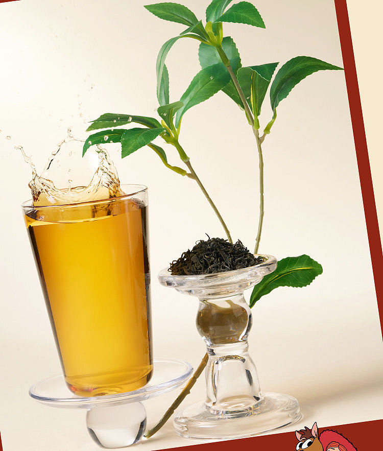 exclusive-in-australiawalmart-china-private-label-fresh-brewed-tea-500ml-5