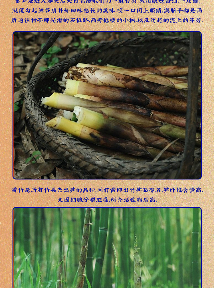 san-guan-six-wharf-non-recognized-bamboo-shoots-in-oil-360g-7