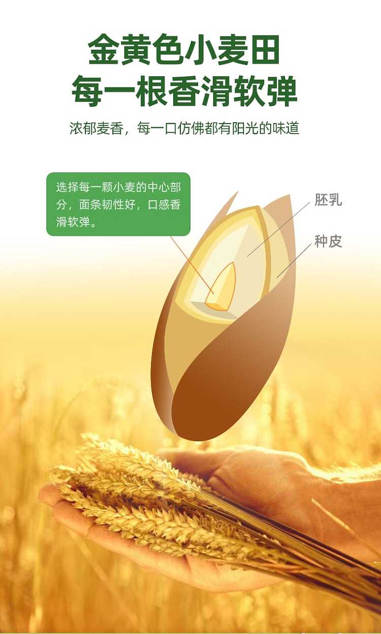 wugu-daochang-seaweed-rib-noodles-107g-5-bags-bag-535g-3