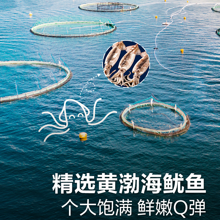 liangpinpu-squid-small-claw-claw-spicy-flavor-60g-2
