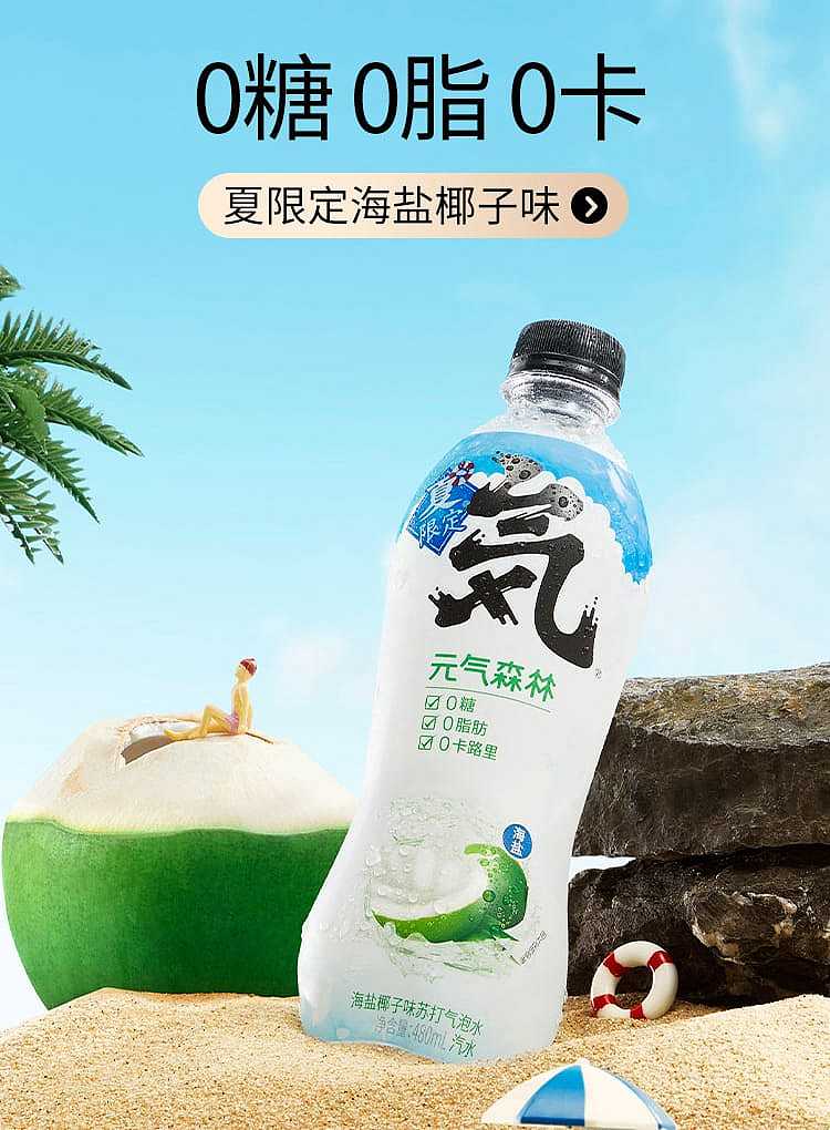 full-caseenergy-forest-sparkling-water-sea-salt-coconut-flavor-480ml-15-bottles-case-1