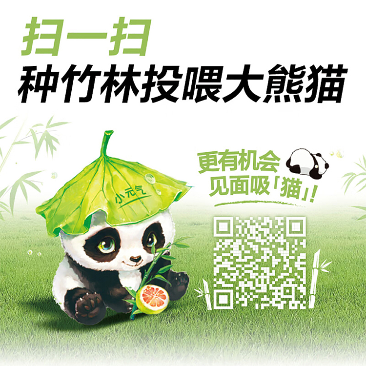 genki-forest-sparkling-water-green-bamboo-grapefruit-flavor-480ml15-4