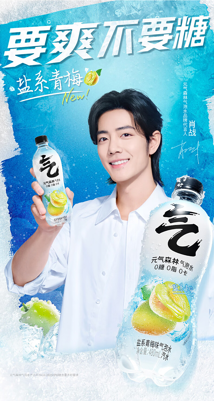 genki-forest-sparkling-water-salt-series-plum-flavor-480ml15-bottles-case-1