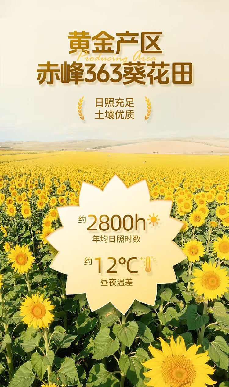 sams-exclusive-chia-chai-matsutake-sunflower-seed-kernel-500g-2