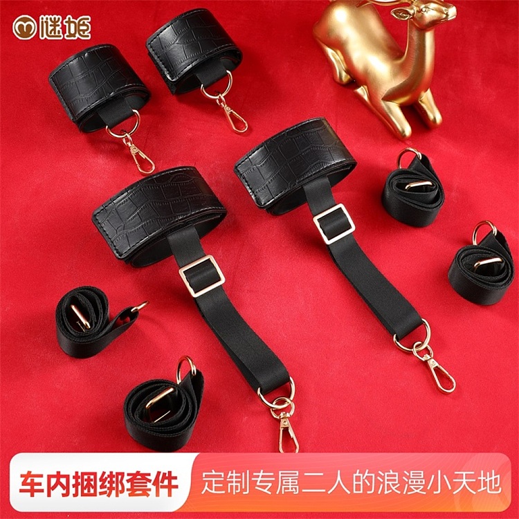 mystique-car-bondage-kit-bondage-sm-toning-black-1