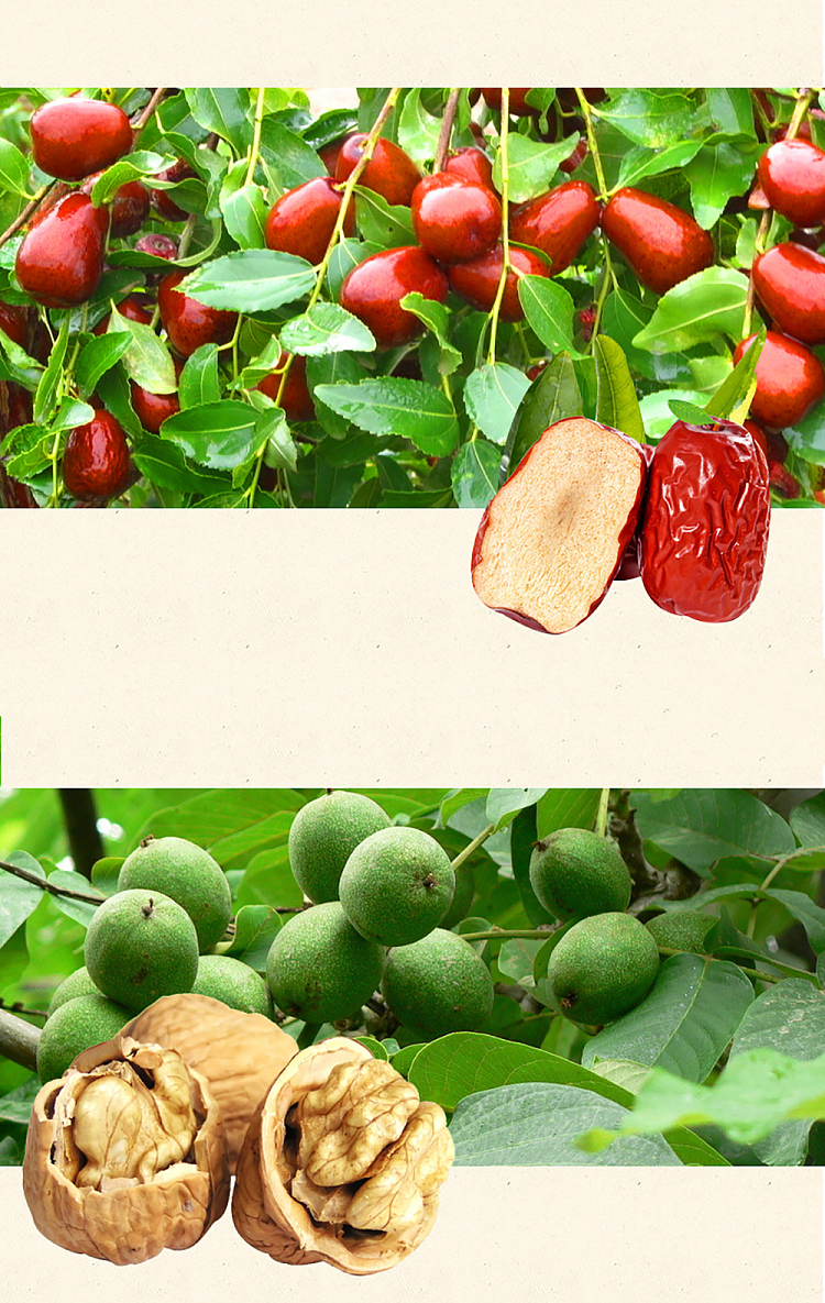 sihong-gray-dates-with-walnuts-208g-3