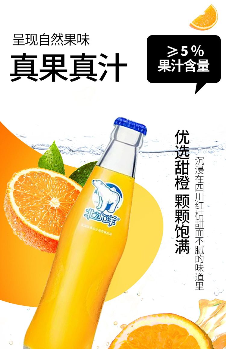 arctic-ocean-orange-juice-soft-drink-248ml-8