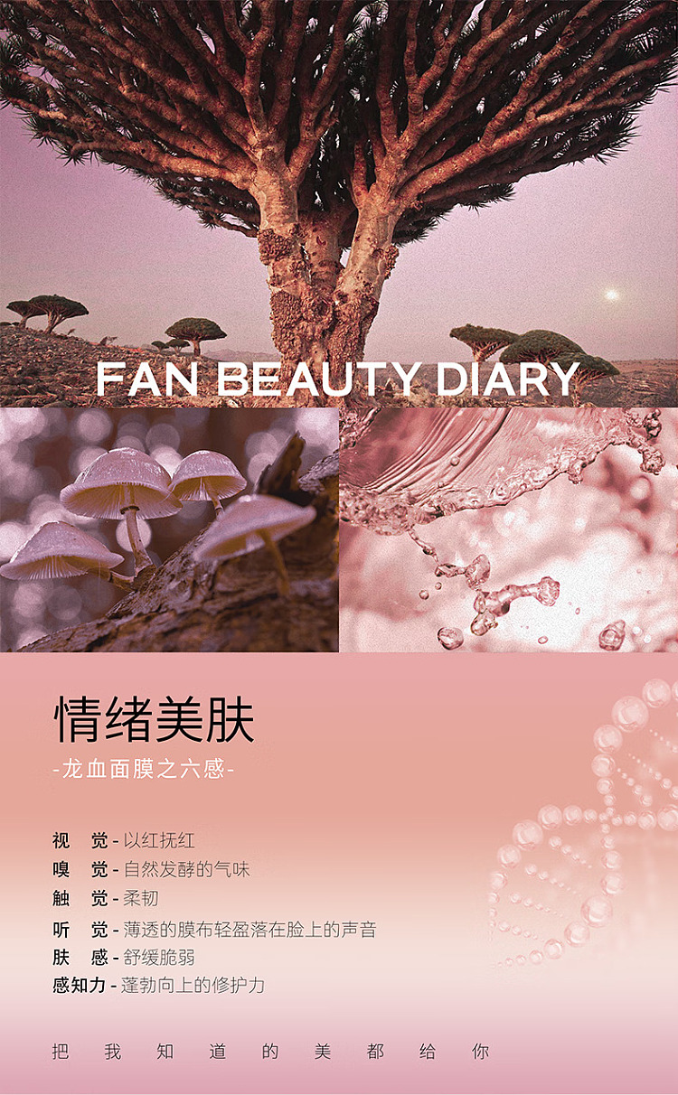 fanbeautydiary-kirin-exhausted-mushroom-silk-repairing-dragons-blood-mask-5pcs-box-2