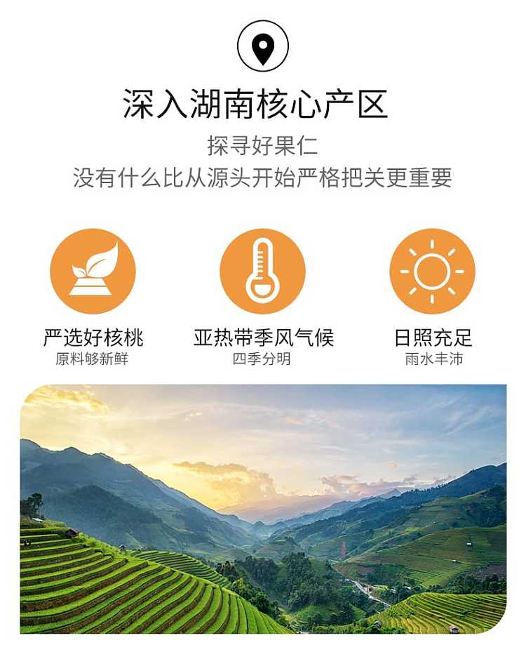 gangyuan-honey-amber-walnuts-75g-5