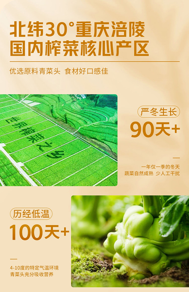 wujiang-squash-ancient-soy-sauce-80g4bags-4
