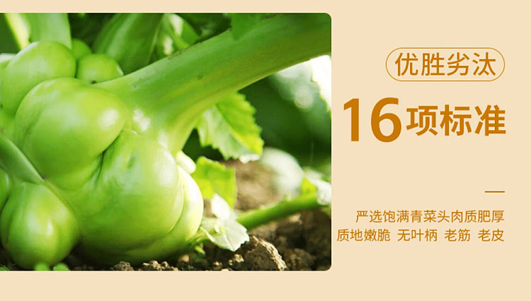 wujiang-squash-ancient-soy-sauce-80g4bags-5