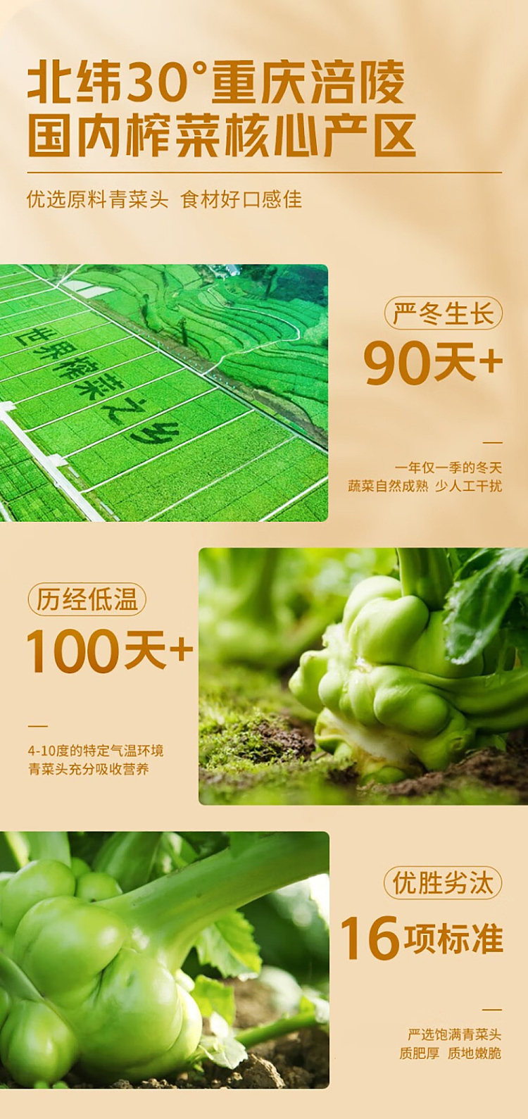 wujiang-squash-mildly-spicy-80g4bags-2