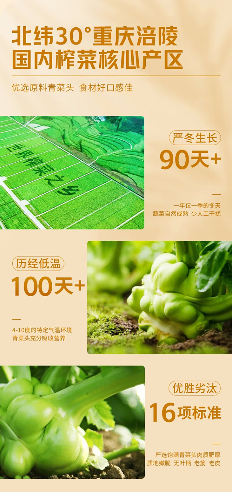 wujiang-squash-light-and-fresh-80g4bags-3