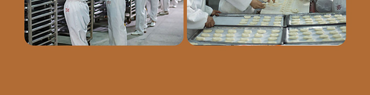 frozen-peak-chai-hand-torn-brown-sugar-steamed-buns-6pcs540g-9