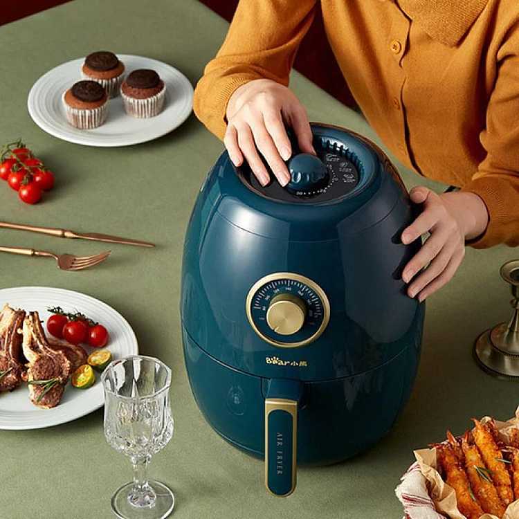 xiong-bear-brand-air-fryer-dzg-a14d1-3l-3
