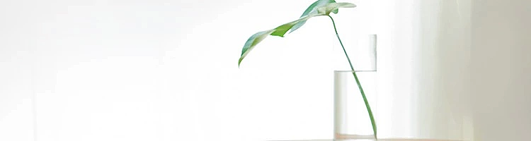netflix-japanese-japanese-style-simple-lidless-trash-can-white-11l-10