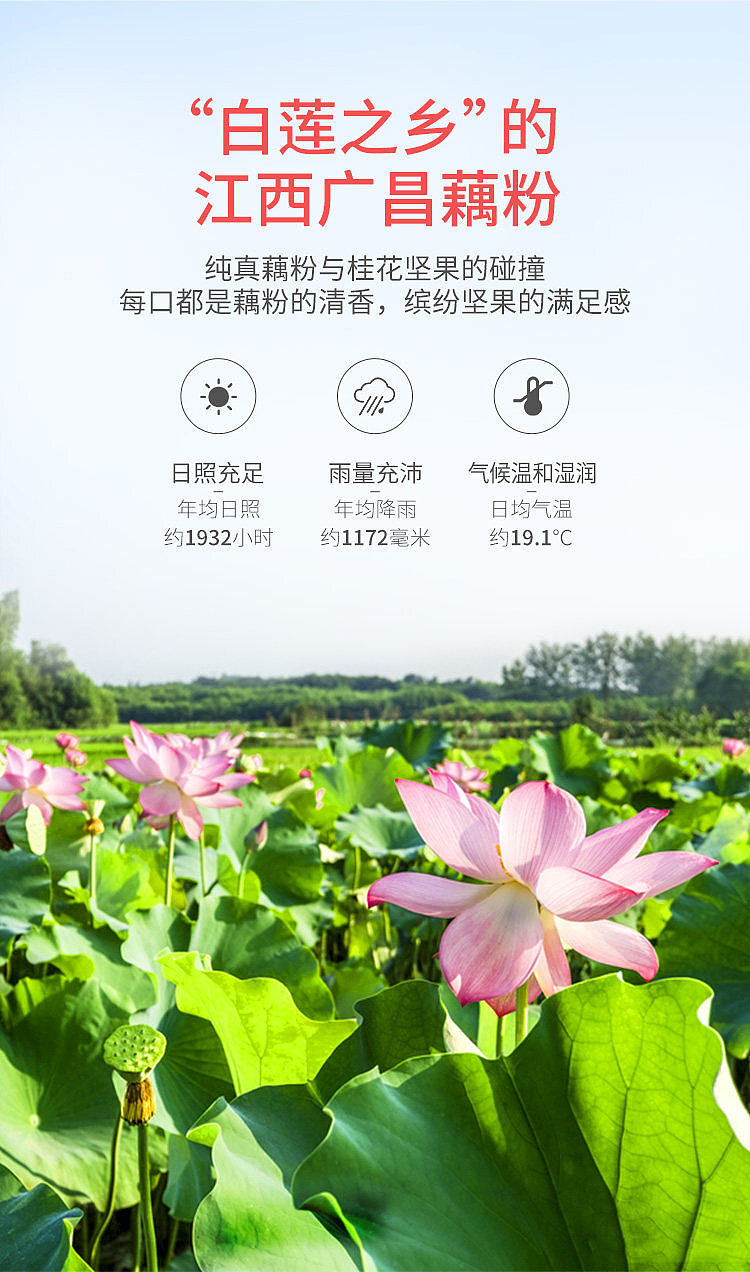 fangjia-shop-osmanthus-and-nut-lotus-root-starch-500g-3