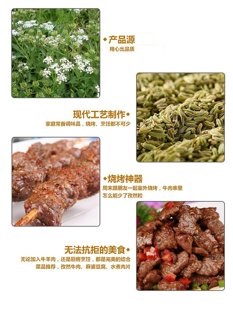 huahai-shunda-xinjiang-cumin-granules-40g-3
