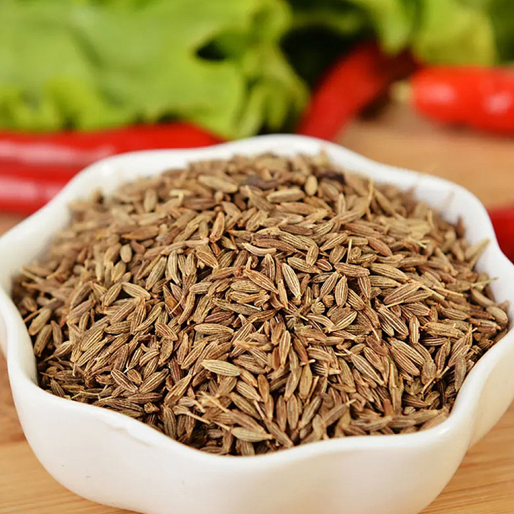 huahai-shunda-xinjiang-cumin-granules-40g-2