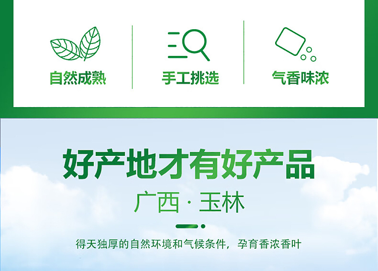 hua-hai-shun-da-incense-leaf-16g-2