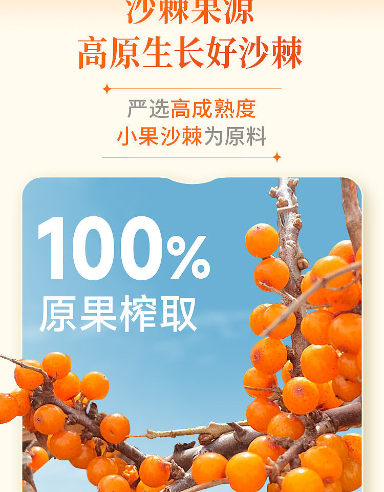 oriental-selection-sea-buckthorn-syrup-50ml10-bottle-case-6