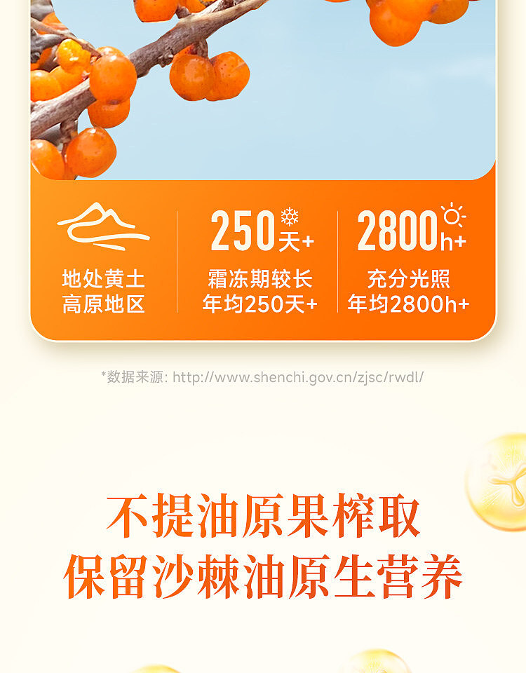 oriental-selection-sea-buckthorn-syrup-50ml10-bottle-case-7
