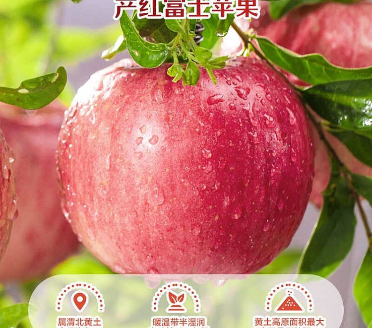 liangpinpuzi-original-cut-apple-thin-crisp-90g-6