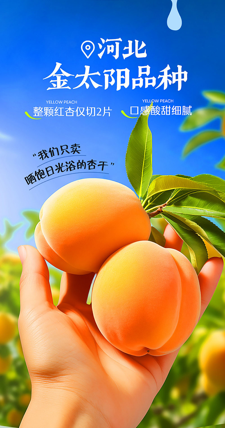 liangpinpuzi-dried-fruits-fresh-juice-juice-golden-apricot-55g-6